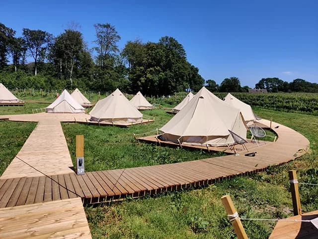 Arilds Vingård - Bild 9