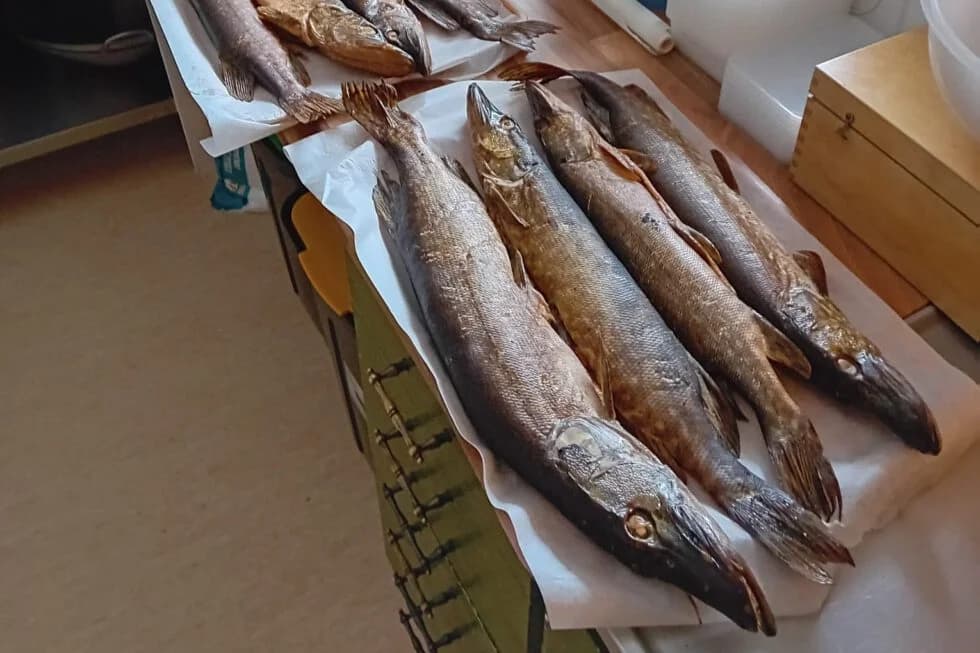 Blattnicksele Camping - Bild 8