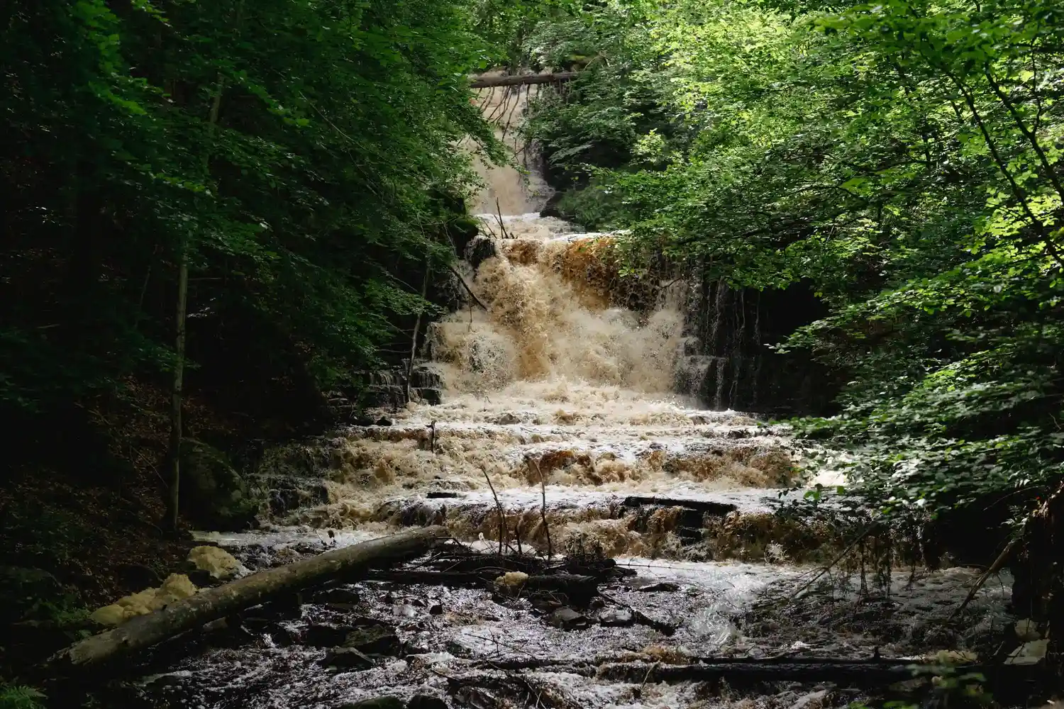 Halle- och Hunneberg Glamping - Bild 15