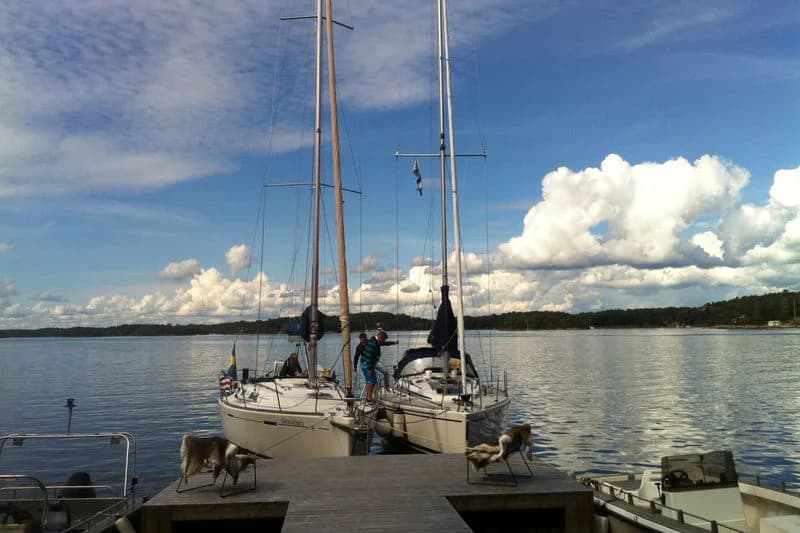 Island Lodge - Bild 7