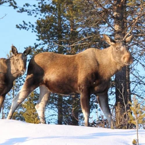 Peace & Quiet Hotel - Bild 21