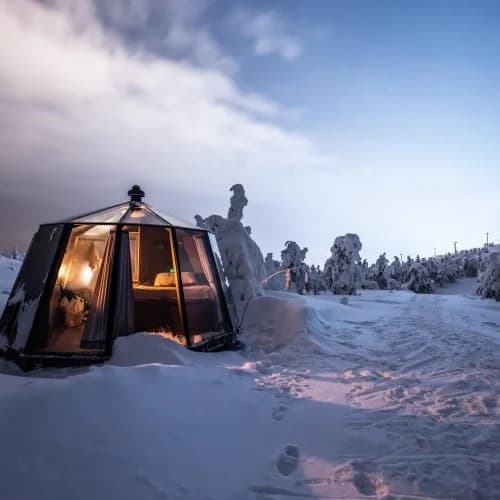 Peace & Quiet Hotel - Bild 28