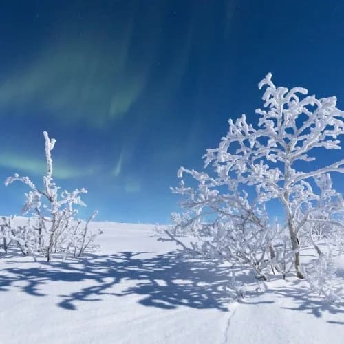 Peace & Quiet Hotel - Bild 32