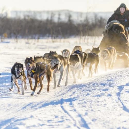 Peace & Quiet Hotel - Bild 33