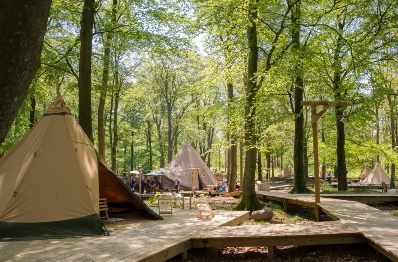 Wild Lodge - Skånes Djurpark - Bild 2