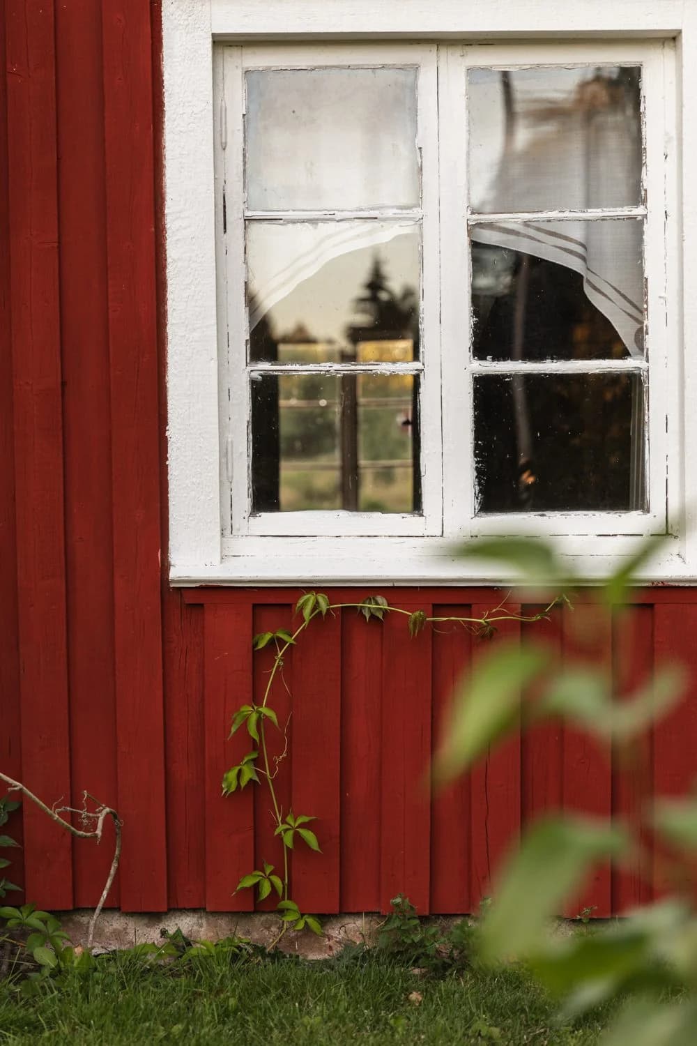 Stora Djupsås Glamping - Bild 6