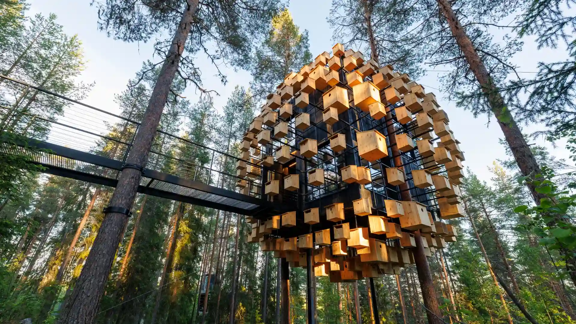 Sov bland trädkronorna i arkitektoniska mästerverk!

Treehotel i Harads är världens mest extraordinära arkitekturhotell – åtta unika treerooms designade av BIG (Bjarke Ingels), Snøhetta, Tham & Videgård och andra världsstjärnor. Från spegelfasadernas Mirrorcube till rymdskeppet UFO, från organiska Bird's Nest till eleganta Dragonfly.

Här blir du gäst i levande konstutställning 4-6 meter över marken. Varje rum är en designlegendens vision: arkitektur som utmanar gravitation, perspektiv och vad boende kan betyda.

Detta är Treehotel – där du inte bara sover i naturen, du blir upphängd mellan himmel och jord i rum som skrivit arkitekturhistoria.