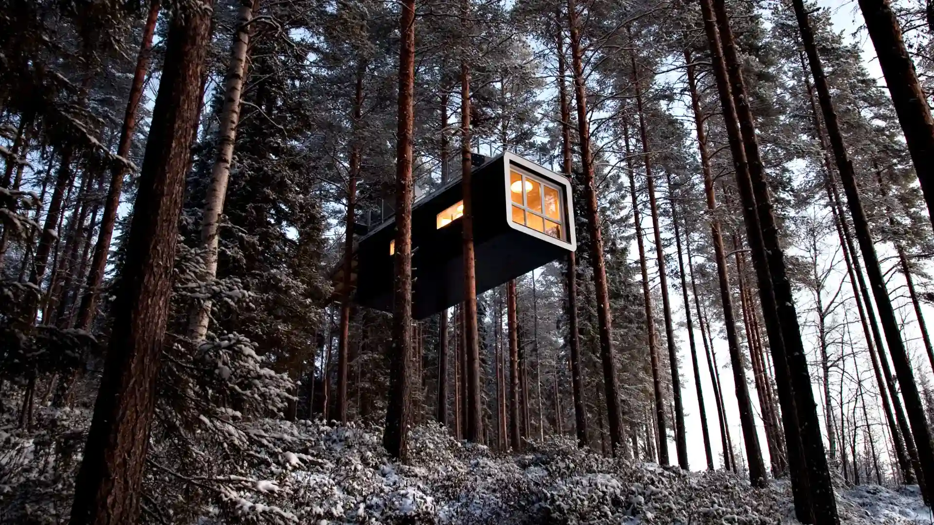 Treehotel - Bild 4