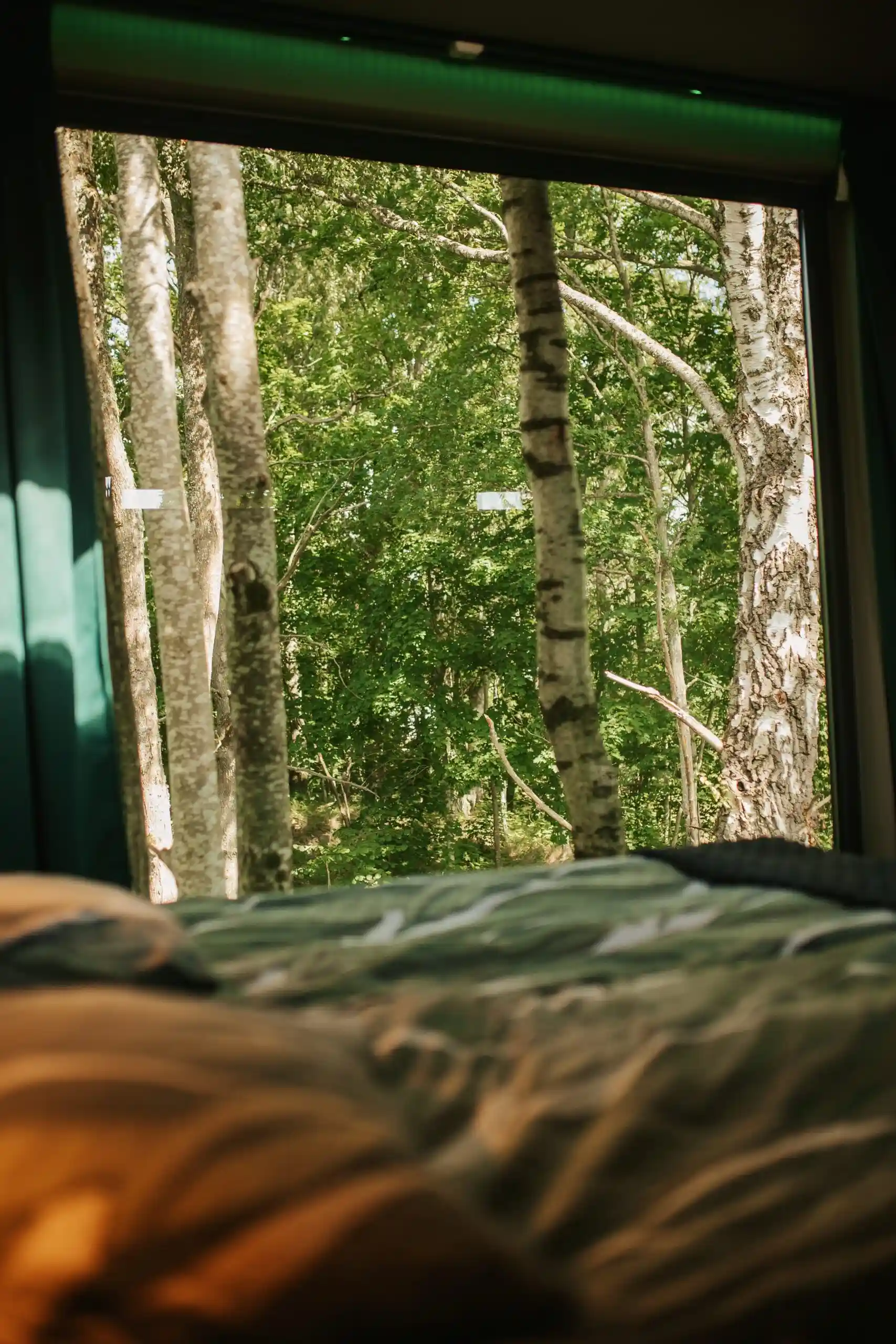 Vättervy Glamping - Bild 11