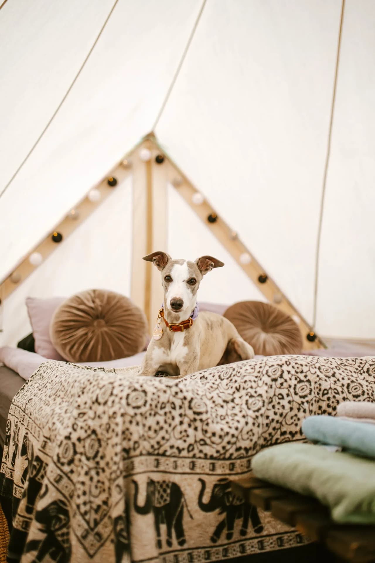 Vättervy Glamping - Bild 12