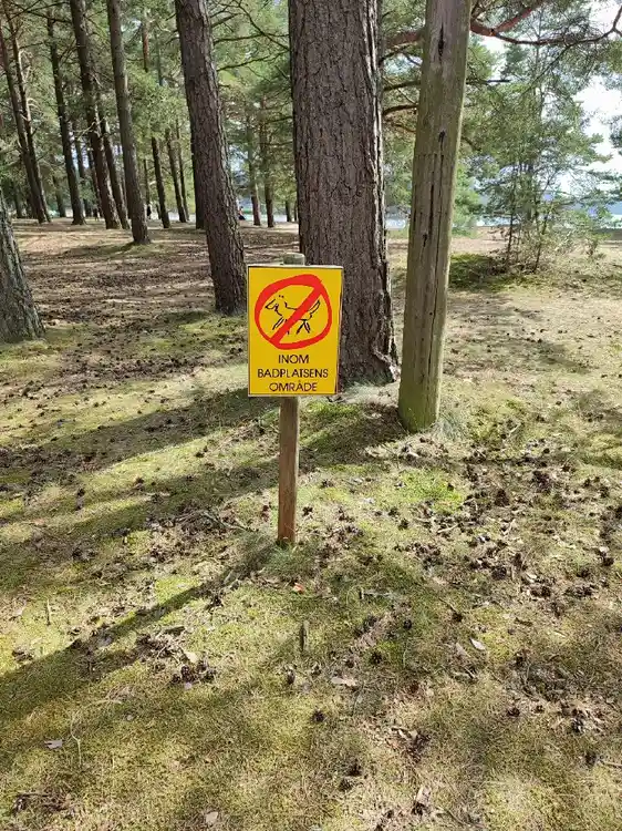 Upplev lyxig glamping vid Vättern på Harge Bad & Camping i Närke. Naturnära boende i skogen med strand, pool & aktiviteter för hela familjen. Boka nu!